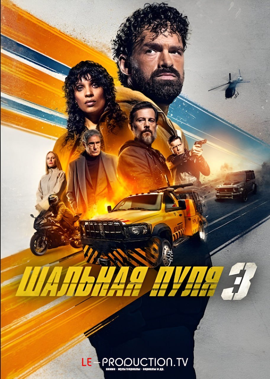 Шальная пуля 3